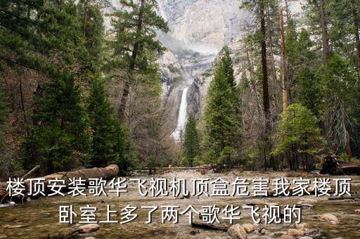 什么叫歌華飛視，歌華飛視怎么樣