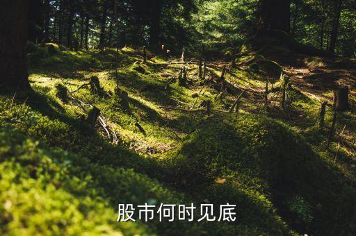 股市何時(shí)見底