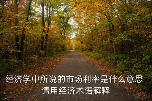 經(jīng)濟(jì)學(xué)中所說的市場(chǎng)利率是什么意思 請(qǐng)用經(jīng)濟(jì)術(shù)語解釋