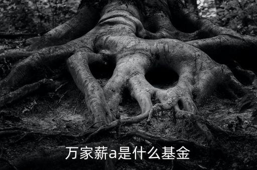 萬家薪a是什么基金