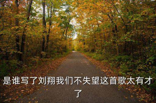 是誰寫了劉翔我們不失望這首歌太有才了