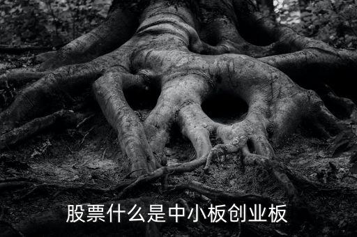 股票什么是中小板創(chuàng)業(yè)板