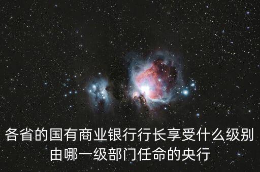 各省的國有商業(yè)銀行行長享受什么級(jí)別由哪一級(jí)部門任命的央行