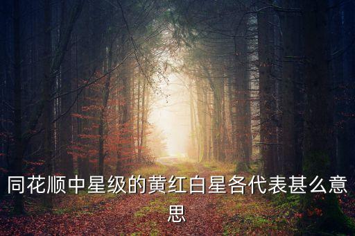 同花順黃星代表什么，同花順股票代碼前的白星黃星紅星各代表甚么