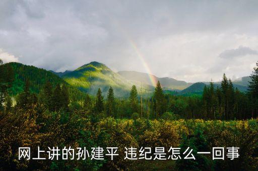 孫建平為什么被免，孫建平違紀說的是那個缺德裝潢公司的老總吧