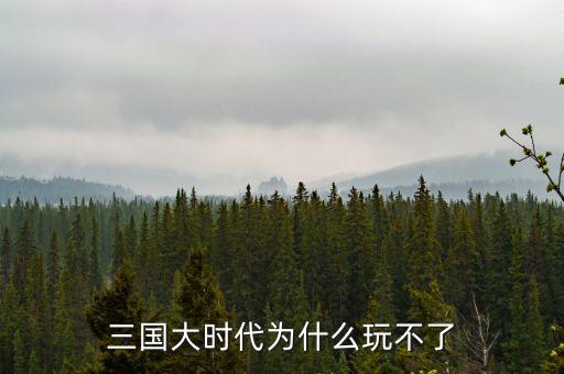 三國大時代為什么玩不了
