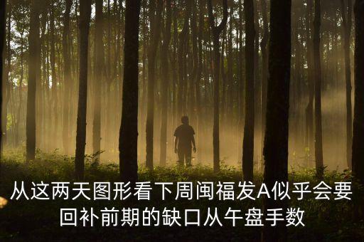從這兩天圖形看下周閩福發(fā)A似乎會(huì)要回補(bǔ)前期的缺口從午盤手?jǐn)?shù)