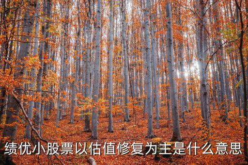 估值修復(fù)什么意思，apple store維修估價(jià)什么意思