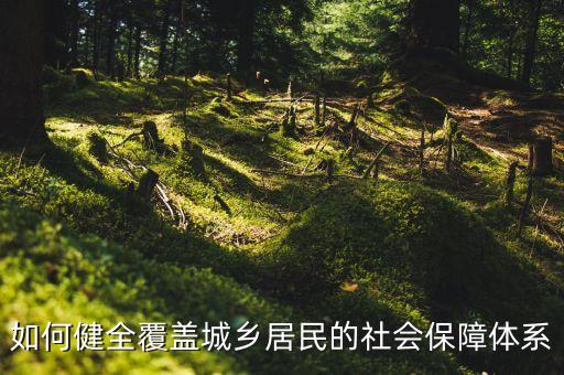 什么是社會保障覆蓋面，社會保障覆蓋率什么意思