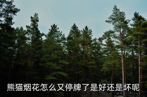 熊貓煙花怎么又停牌了是好還是壞呢
