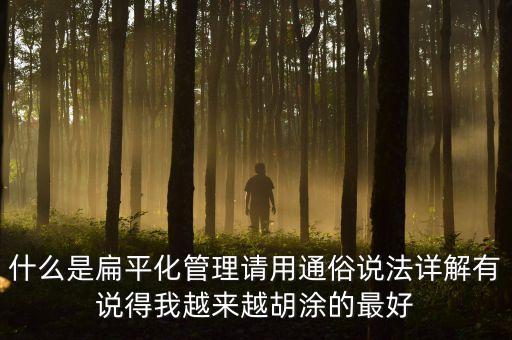 用什么先河，什么是扁平化管理請(qǐng)用通俗說法詳解有說得我越來(lái)越胡涂的最好