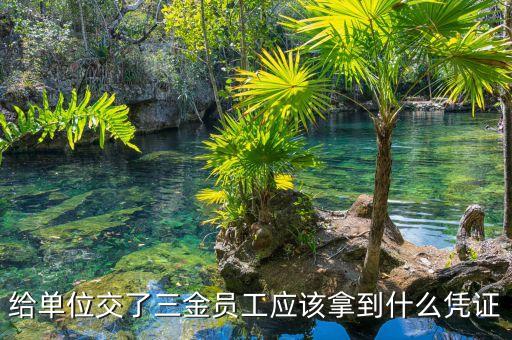 給單位交了三金員工應(yīng)該拿到什么憑證
