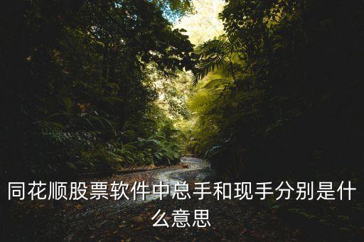 同花順股票軟件中總手和現(xiàn)手分別是什么意思