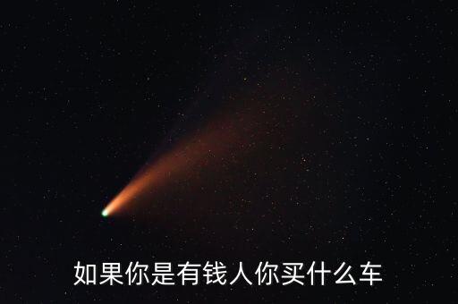 如果你是有錢人你買什么車