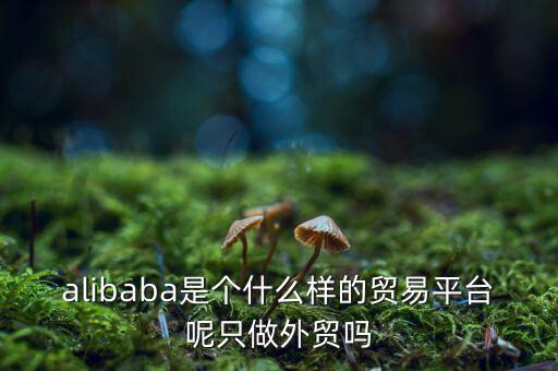 alibaba是個(gè)什么樣的貿(mào)易平臺(tái)呢只做外貿(mào)嗎