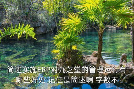 九芝堂籌劃什么重大事項(xiàng)，簡述實(shí)施ERP對九芝堂的管理運(yùn)行有哪些好處 記住是簡述啊 字?jǐn)?shù)不