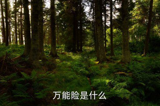 萬能險(xiǎn)是什么
