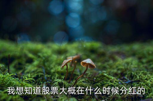 我想知道股票大概在什么時(shí)候分紅的