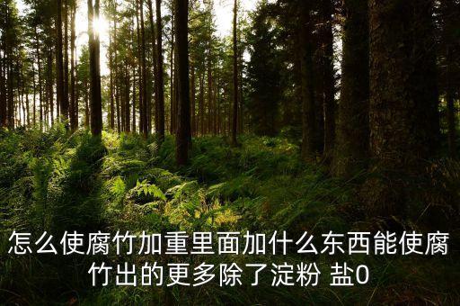 毒腐竹加的什么，felt 的后面加什么