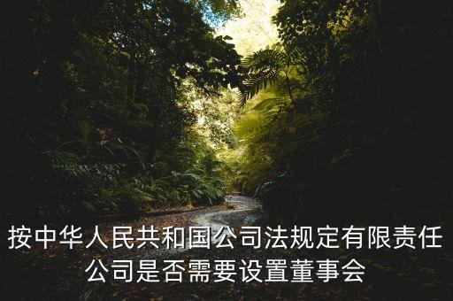 按中華人民共和國(guó)公司法規(guī)定有限責(zé)任公司是否需要設(shè)置董事會(huì)