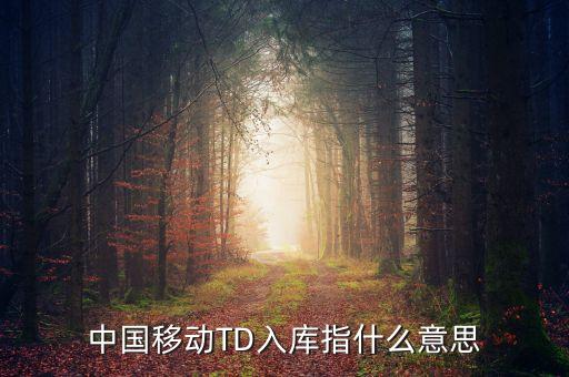 中國(guó)移動(dòng)TD入庫(kù)指什么意思