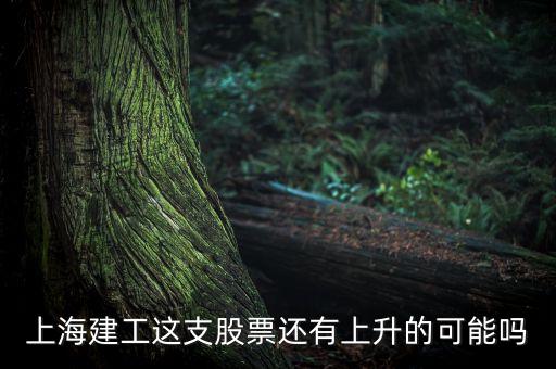 上海建工為什么不漲，上海建工這支股票還有上升的可能嗎