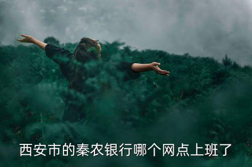 秦農(nóng)銀行什么時(shí)候成立，西安市秦農(nóng)銀行營(yíng)業(yè)網(wǎng)點(diǎn)什么時(shí)候全開始營(yíng)業(yè)