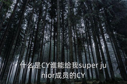 梁振英為什么叫cy，關于SUPER JUNIOR的CY