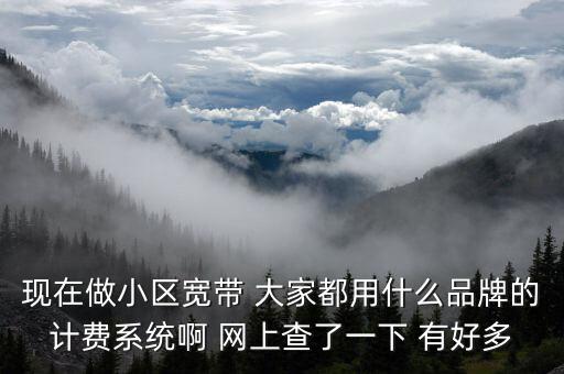 現(xiàn)在做小區(qū)寬帶 大家都用什么品牌的計(jì)費(fèi)系統(tǒng)啊 網(wǎng)上查了一下 有好多