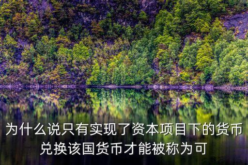 為什么說(shuō)只有實(shí)現(xiàn)了資本項(xiàng)目下的貨幣兌換該國(guó)貨幣才能被稱為可