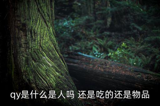 qy是什么是人嗎 還是吃的還是物品