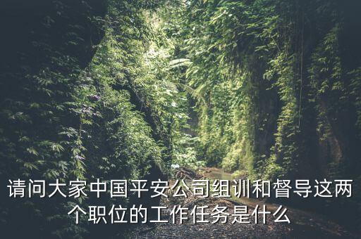 請問大家中國平安公司組訓(xùn)和督導(dǎo)這兩個(gè)職位的工作任務(wù)是什么