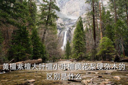 黃檀紫檀大葉檀小葉檀黃花梨硬雜木的區(qū)別是什么