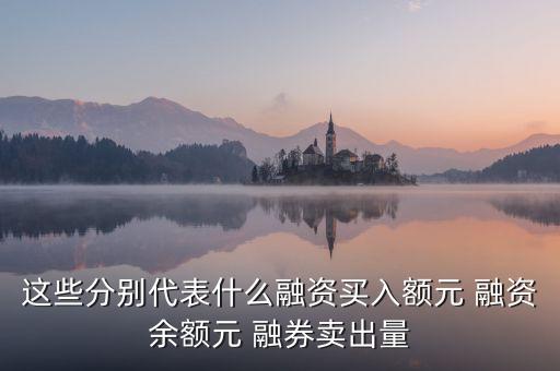 什么是融券買(mǎi)入量，關(guān)于融資余額元 融資買(mǎi)入額元 融券賣出量股 融券余量