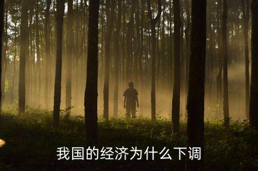 我國(guó)的經(jīng)濟(jì)為什么下調(diào)