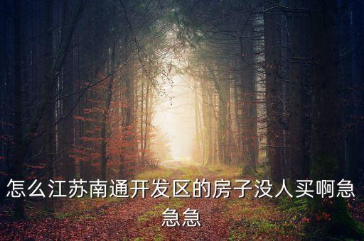 怎么江蘇南通開(kāi)發(fā)區(qū)的房子沒(méi)人買啊急急急
