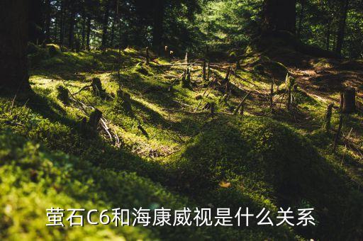 螢石C6和?？低暿鞘裁搓P系