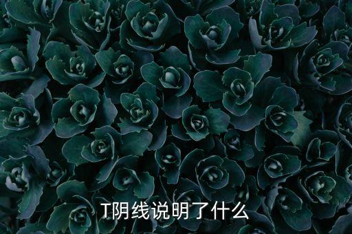 T陰線說明了什么