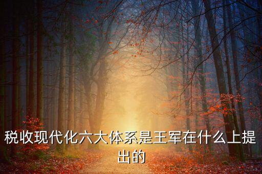稅收現(xiàn)代化是什么，淺談如何實(shí)現(xiàn)稅收征管現(xiàn)代化