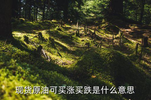 買石油漲叫做什么，原油投資買漲買跌是啥意思