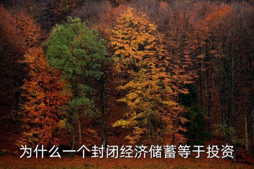 為什么一個(gè)封閉經(jīng)濟(jì)儲(chǔ)蓄等于投資