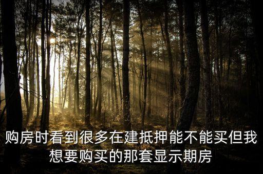 購房時(shí)看到很多在建抵押能不能買但我想要購買的那套顯示期房