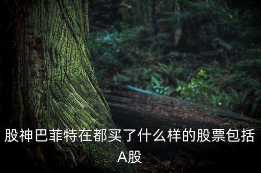 巴菲特買(mǎi)什么股票，巴菲特概念股票有哪些