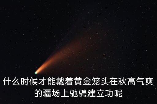 什么時(shí)候才能戴著黃金籠頭在秋高氣爽的疆場(chǎng)上馳騁建立功呢