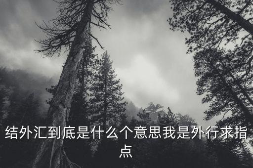 結外匯到底是什么個意思我是外行求指點