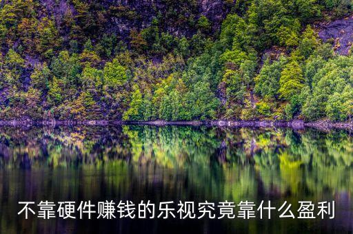 不靠硬件賺錢的樂視究竟靠什么盈利