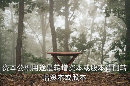 什么叫用資本公積轉(zhuǎn)增資本，資本公積金轉(zhuǎn)增資本金是什么意思