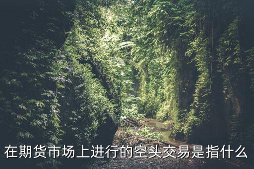 在期貨市場上進行的空頭交易是指什么