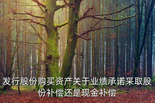 發(fā)行股份購買資產(chǎn)關(guān)于業(yè)績承諾采取股份補(bǔ)償還是現(xiàn)金補(bǔ)償