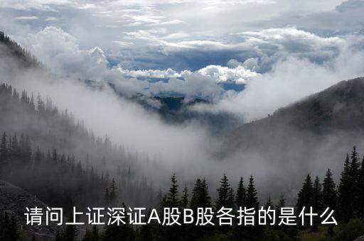 請(qǐng)問(wèn)上證深證A股B股各指的是什么